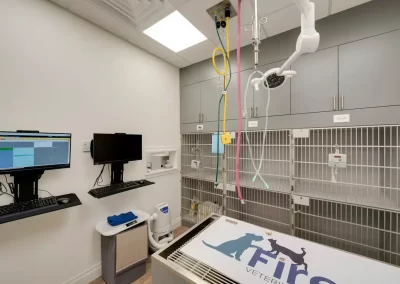 Construction Services (19)